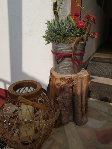 G�ste Apartement Casa Luber