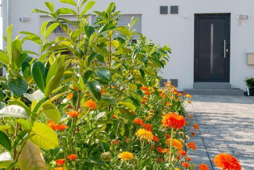 Apartamento Ferienwohnung Elena