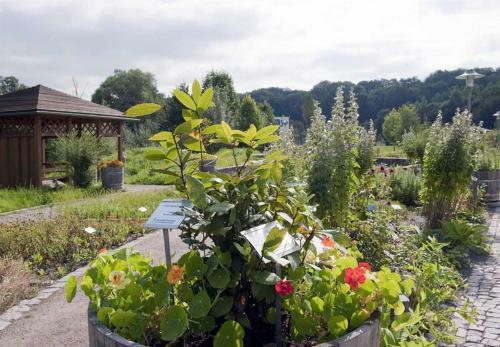 Hotel Thermalbad Wiesenbad