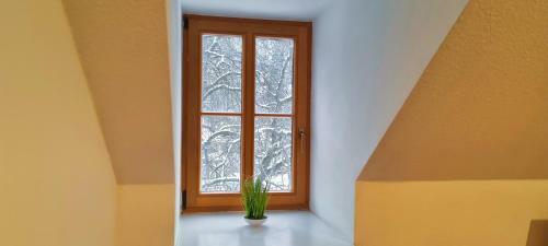 Apartamento Wanderlust