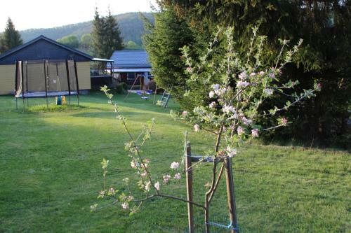 Ferienh�user "zur Hohen Sonne"