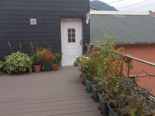 Apartamento Pension Im Gl�ck Thale