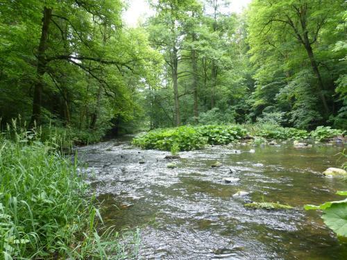 Apartamento Pension Waldfrieden