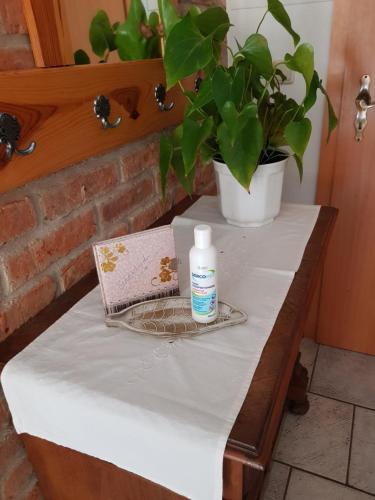 Apartamento Ferienwohnung Burgenblick