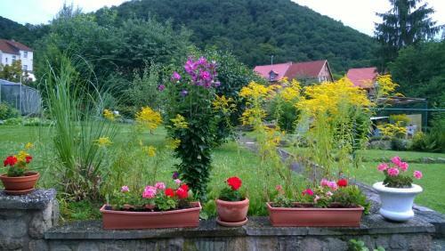 Apartamento Ferienwohnung Bergblick