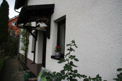 Apartamento Ferienwohnung Am Steinbachtal