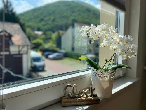 Apartamento Ferienwohnung Bergblick