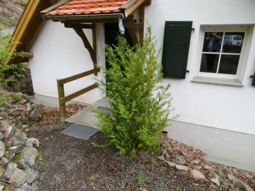 Apartamento Fewo Bodetalblick Altenbrak