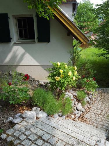 Apartamento Gartenwohnung Bodetal Altenbrak
