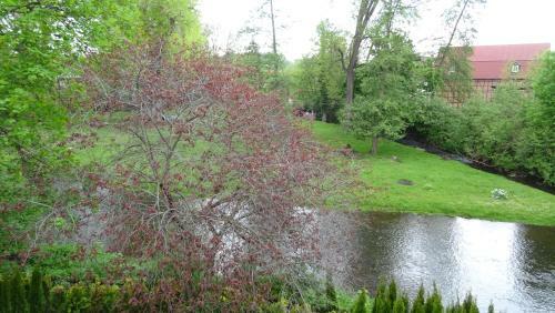 Villa An Der Bode