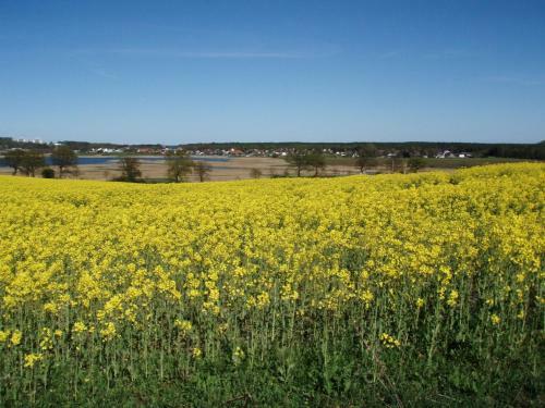 Apartamento Ferienwohnungen Auf R�gen