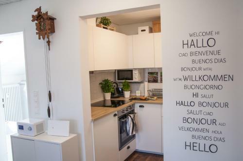 Apartment Titisee Mit Netflix Wii U & Tiefgarage