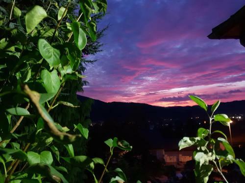 Apartamento Ferienhaus Haus Herzog
