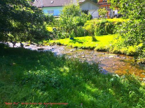 Apartamento Ferienwohnung Schwarz