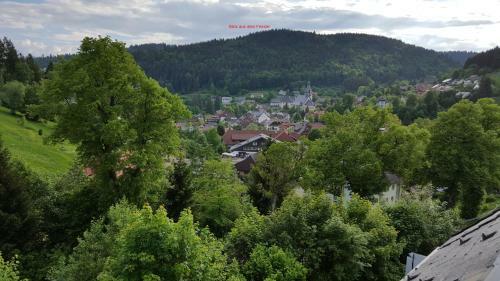 Apartamento Ferienwohnung Im Schwarzwald