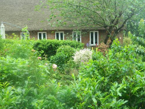 Apartamento Haubarg Pern�rhof