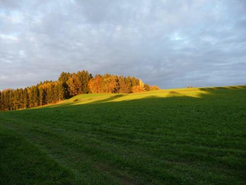 Apartamento Ferienwohnung Juchheim