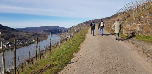 Apartamento Ferienwohnungen Katharina