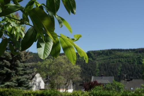 Apartamento Ferienwohnungen Christina