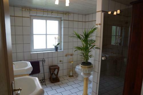 Apartamentos Moseljuwel