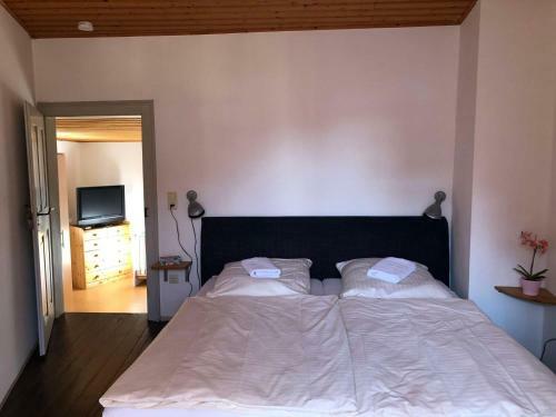 Wolfer Spitzhaus