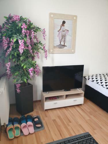 Dm Apartment