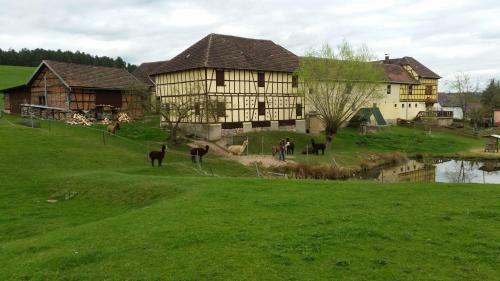 Apartamento Ferienhof "zum Waldblick"