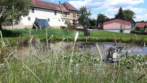 Apartamento Ferienhof "zum Waldblick"