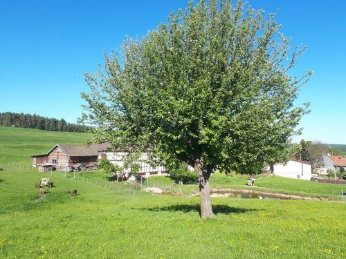 Apartamento Ferienhof "zum Waldblick"