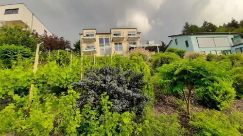 Apartamento Casa La Vino