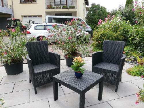 Apartamento Wein-und G�stehaus Alfons Bollig