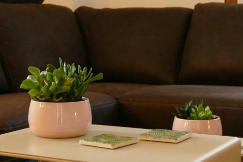 Apartamento Ines