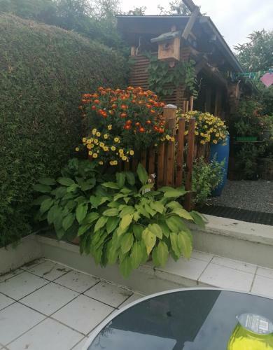 Apartamento Ferienwohnung Grete