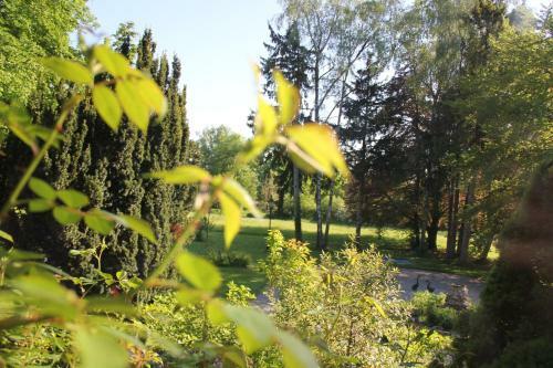 Villa Zollhaus Bed & Breakfast