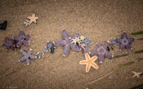 Apartamento Waterfriends