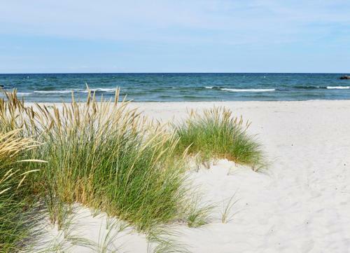 Ferienanlage �ckeritz Bungalow Gr�n