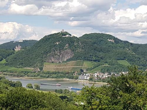 Ferienhaus M�ller