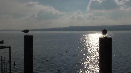Apartamento Neu ... In 2 Min. Am Bodensee