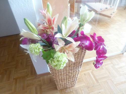 Apartamento Maisonette Bodensee-traum