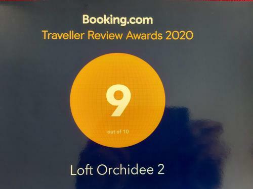 Apartamentos Loft Orchidee 2