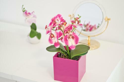 Apartamentos Loft Orchidee 2
