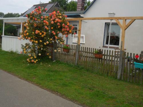 Hostal Pension Sabine