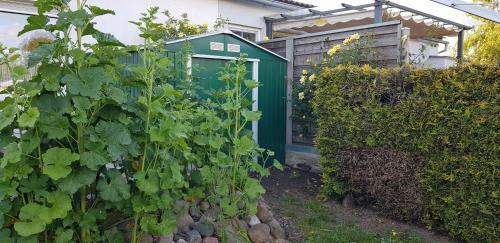 Apartamento Ferienwohnung Thees