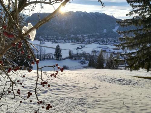 Alpenhaus Ammertal