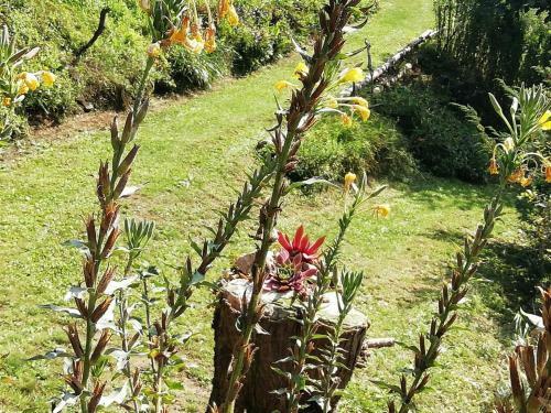 Apartamento Ferienwohnung Gorxheimertal