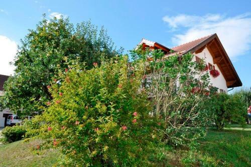 Apartamento G�stehaus Walser