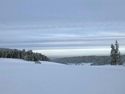 Apartamento Unter Der Linde