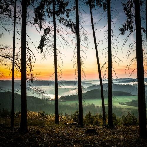 Wald See Gl�ck