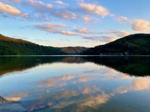 Wald See Gl�ck