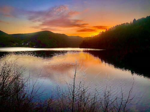 Wald See Gl�ck